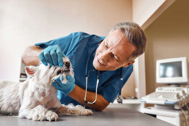 Best Emergency Tooth Extraction in Wrightsville, GA